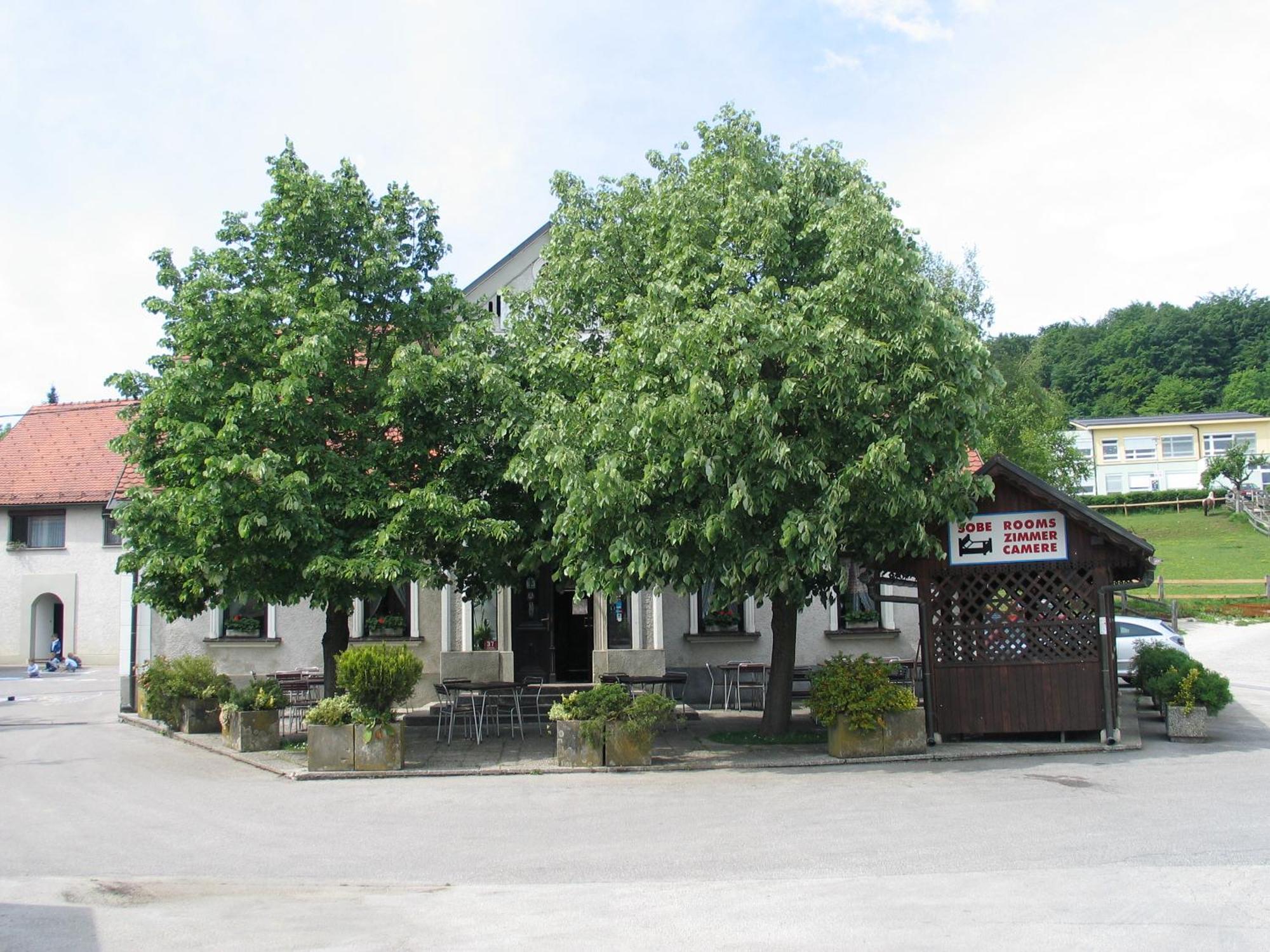Marincic Inn Škocjan エクステリア 写真